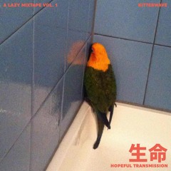 side b - hopeful transmission