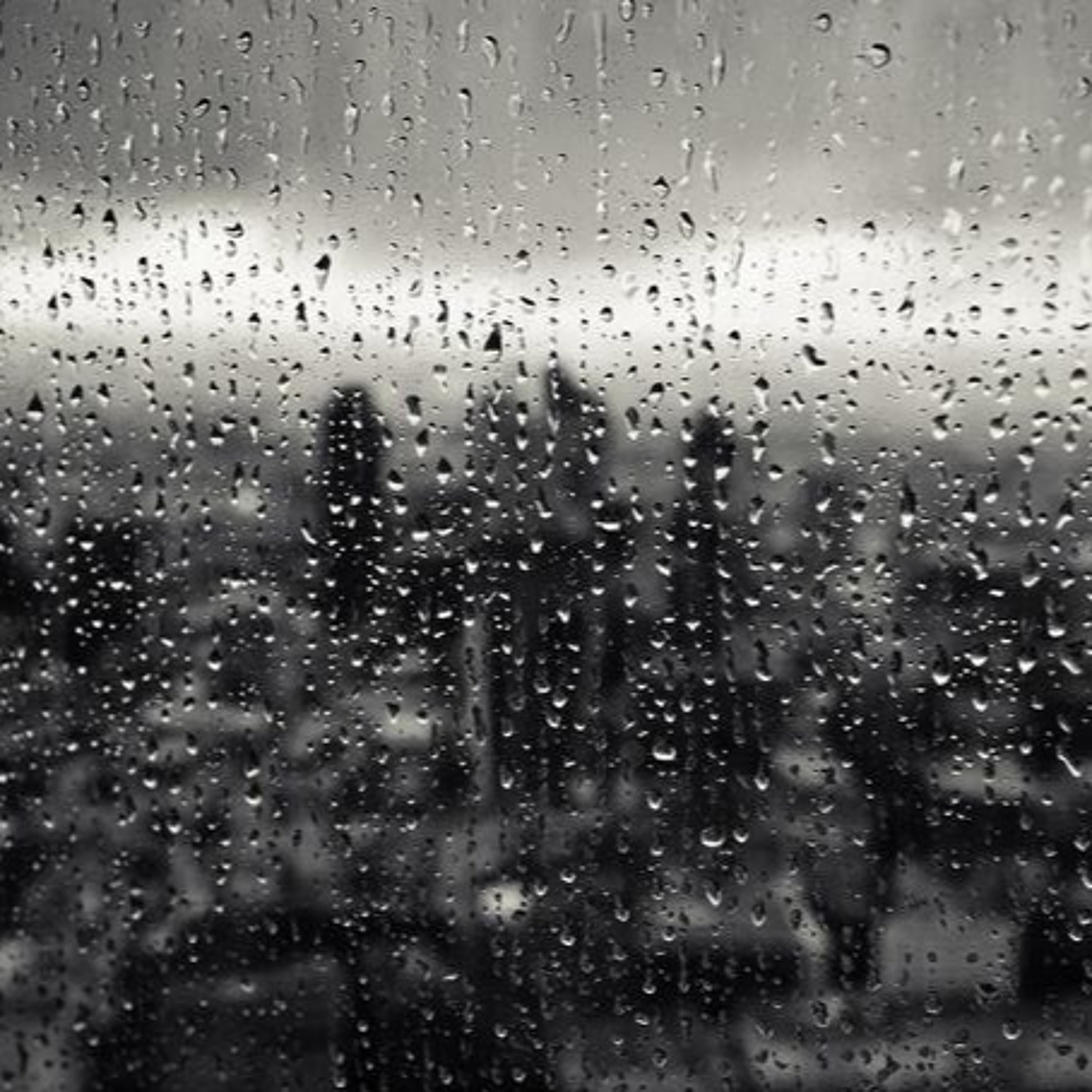 Plate Glass Window episode artwork