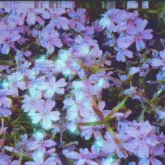 heavens (Prod. $plashious)