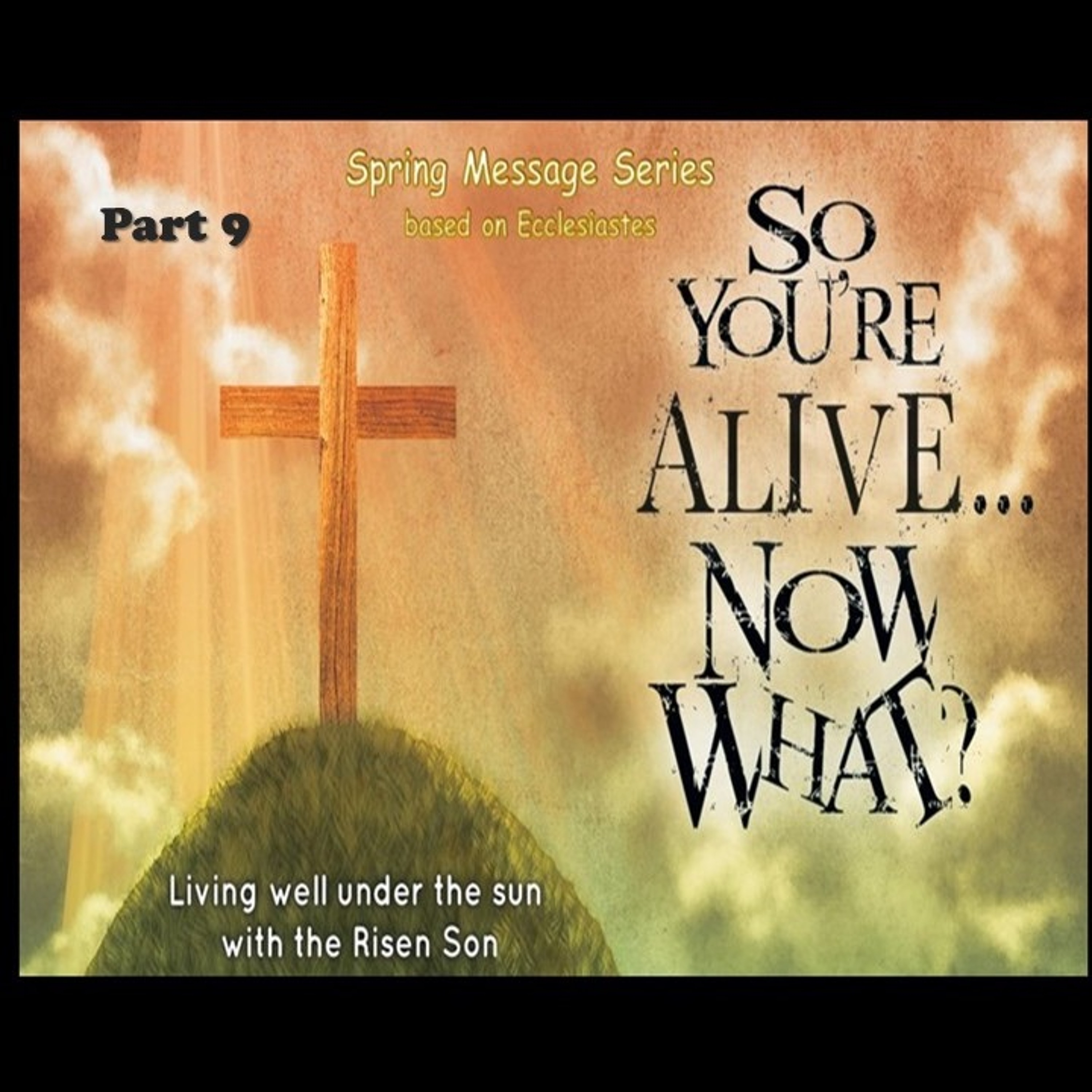 So You're Alive Part 9, July 21, 2019 episode artwork
