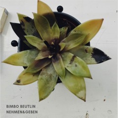 Bimbo Beutlin - Nehmen & Geben