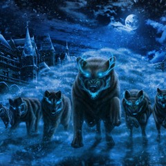 гио пика стая