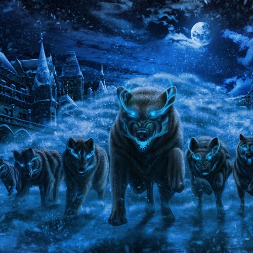 гио пика стая