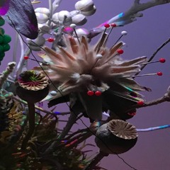 虚空EP ( The Void EP )