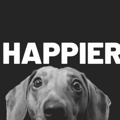 Marshmello - Happier (VERSÃO FORRÓ) ft. Bastille