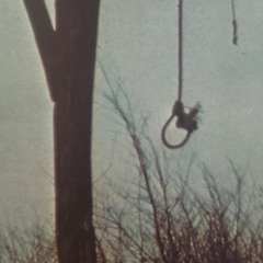 An Angel In The Barn