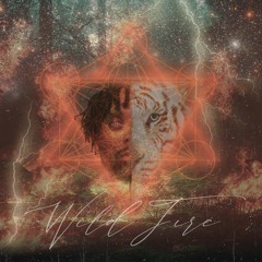 @kingColddshawty - wild fire (prod. neighborhood arion)