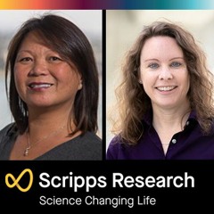 Episode 15 – Kristen Johnson & Maria Millan: Regenerative Medicine for Osteoarthritis