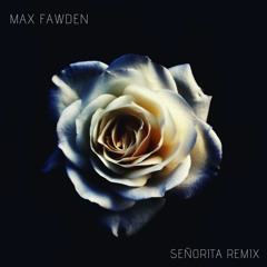 Shawn Mendes, Camila Cabello - Señorita (Max Fawden Remix)
