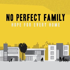 No Perfect Family