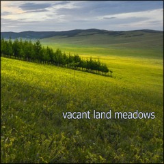 Vacant Land Meadows - moogPolyArpTest3