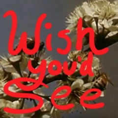 Wish You'd See - Demo