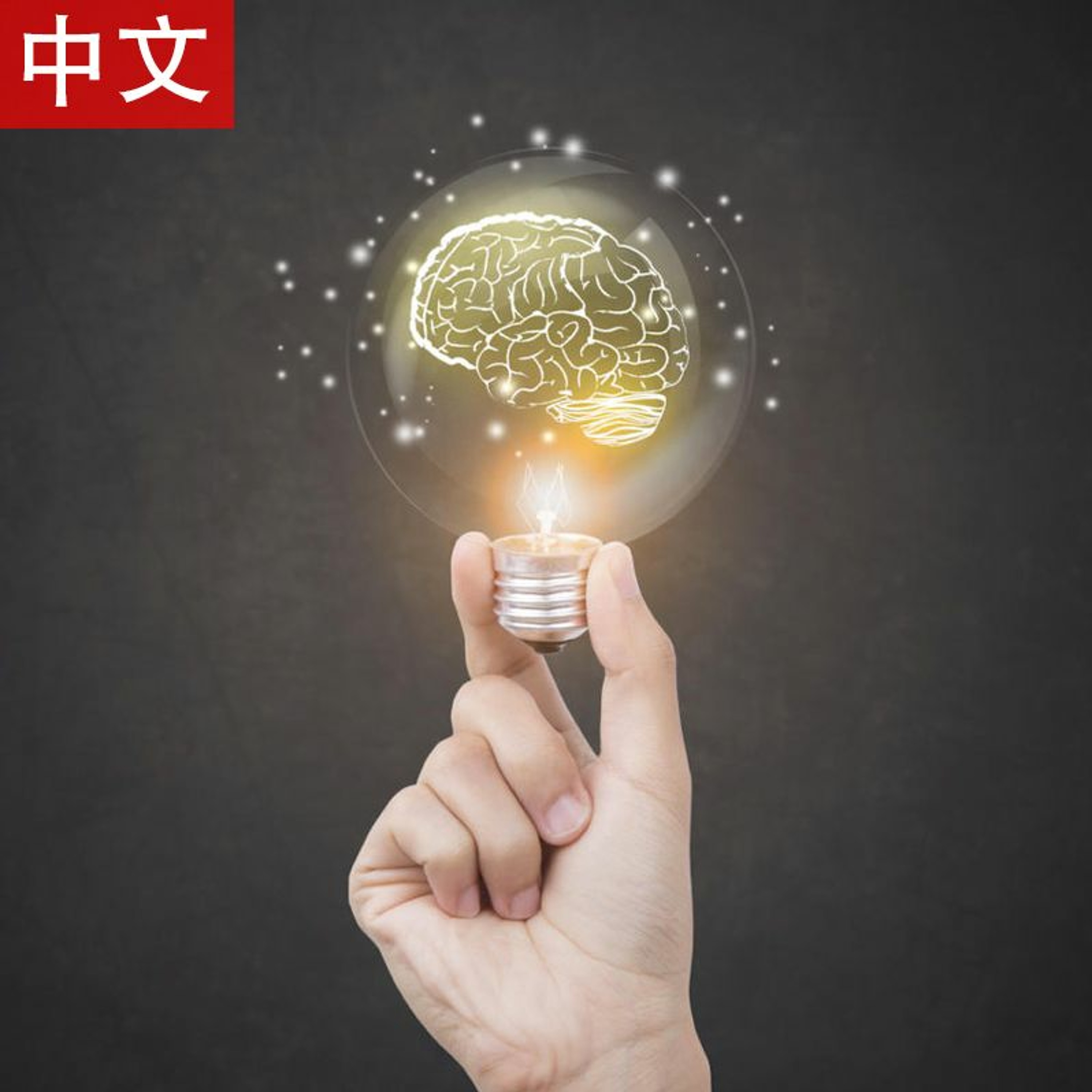 (21-07-19) 成为有智慧的仆人 episode artwork