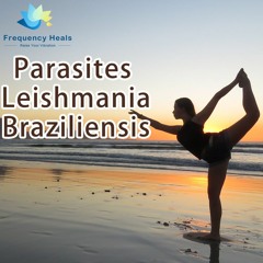 Frequency Heals – Parasites Leishmania Braziliensis (CAFL)
