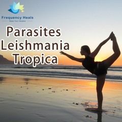 Frequency Heals – Parasites Leishmania Tropica (CAFL)