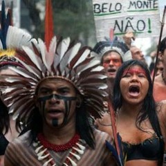 ๏̯͡Skungyfunkyitis٩๏̯͡๏)۶ - Project 5 Eco