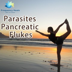 Frequency Heals – Parasites Flukes Pancreatic (KHZ)