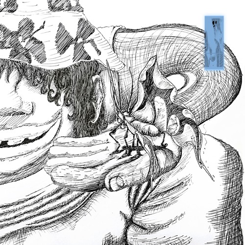 Oli XL — Orchid Itch