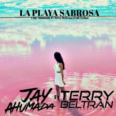 La Playa Sabrosa(Terry Beltran Ft Jay Ahumada)RemixFREE