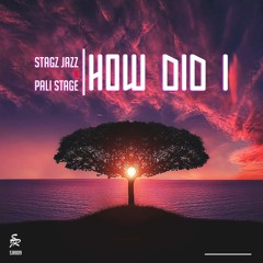 How Did I (Feat. Pali Stage)