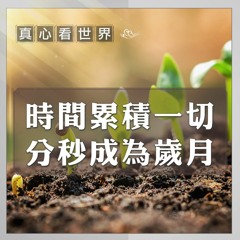真心看世界20190722【小志工入經藏 無錫環保 】