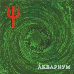 Луна успокой меня
