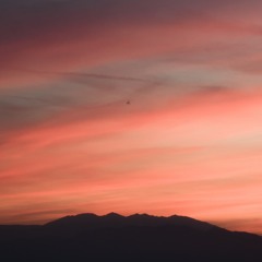 Resonance // Visions