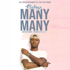 Many Many (Prod by Dj Sley)