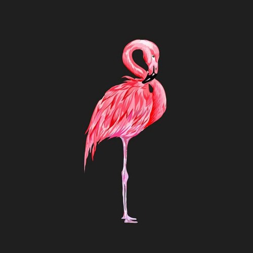 Stream (FREE) Cardi B Type Beat 2019 - ''Flamenco'' | Latin Trap Rap  Instrumental by Don Camillo | Listen online for free on SoundCloud
