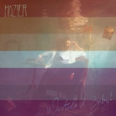 Sunlight - Hozier (Pitched)