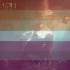 Sunlight - Hozier (Pitched)