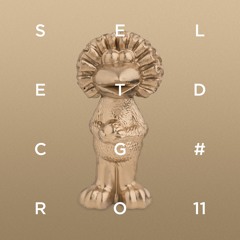 Shir Khan Presents Secret Gold 11 | Exploited