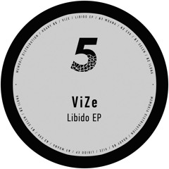 ViZe - Libido EP (Previews) HOARY005 Only Vinyl