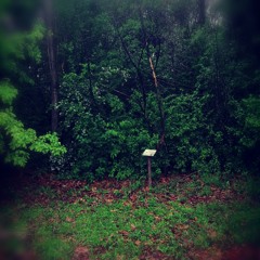 I've made up my mind