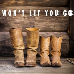 Won't Let You Go (Texas Swing song)