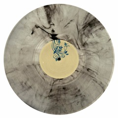A3 - Carlos Nilmmns & Keter Darker: "Iris"