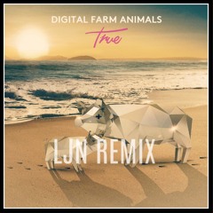 Digital Farm Animals - True (LJN Remix)