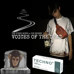 The Funki Munki X Itz Knobby - Voices Of The Dead (Original Mix)