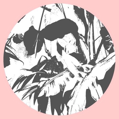 Private Lesson - Digital Native (STW Premiere)