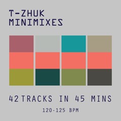 t-Zhuk - Minimixes