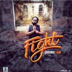 Chronic Law - Fight