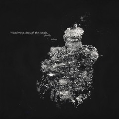 Wandering Through The Jungle, Finally, Asleep