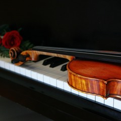 Dizzla D Beats - Never Run Away (DJ michbuze Kizomba Remix) Violin by Martina Fleiss