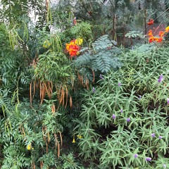 Walls (Produced by G-Slow)