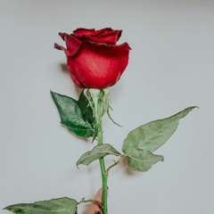 NIKI X THATBASTIAN - MUN MAKUUN