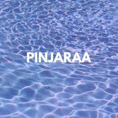 Pinjraa (Cover Video) | Gurnazar | Jaani | B Praak | Ankur Verma | Gourav Azad| Latest Songs 2019