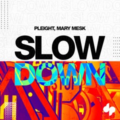Pleight, Mary Mesk - Slow Down [Extended]