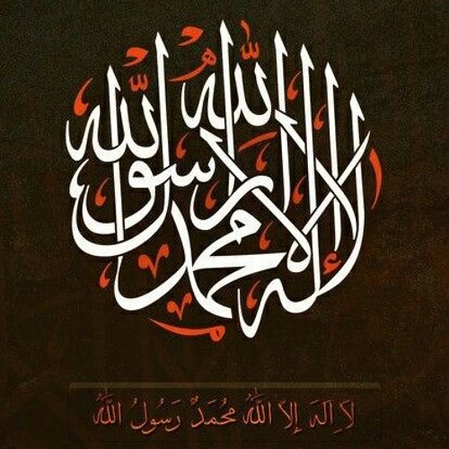 ذكر نقشبندي تركي لا اله الا الله - الشيخ عبدالكريم القبرصي