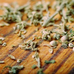 Workforce - Fragments (DECAF)