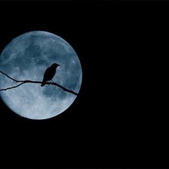 EMOTIONAL PAIN ~ Byrd 190 Ft. Dizzy